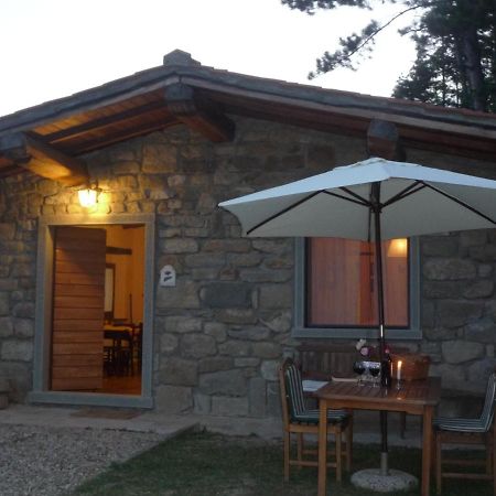 Magnolia Tuscany House With Pool Agriturismo Poppiena Pratovecchio Exteriér fotografie