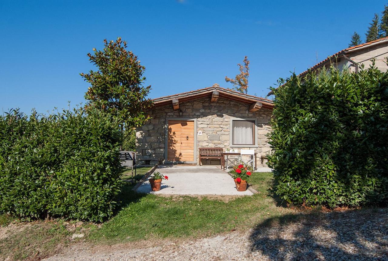Magnolia Tuscany House With Pool Agriturismo Poppiena Pratovecchio Exteriér fotografie