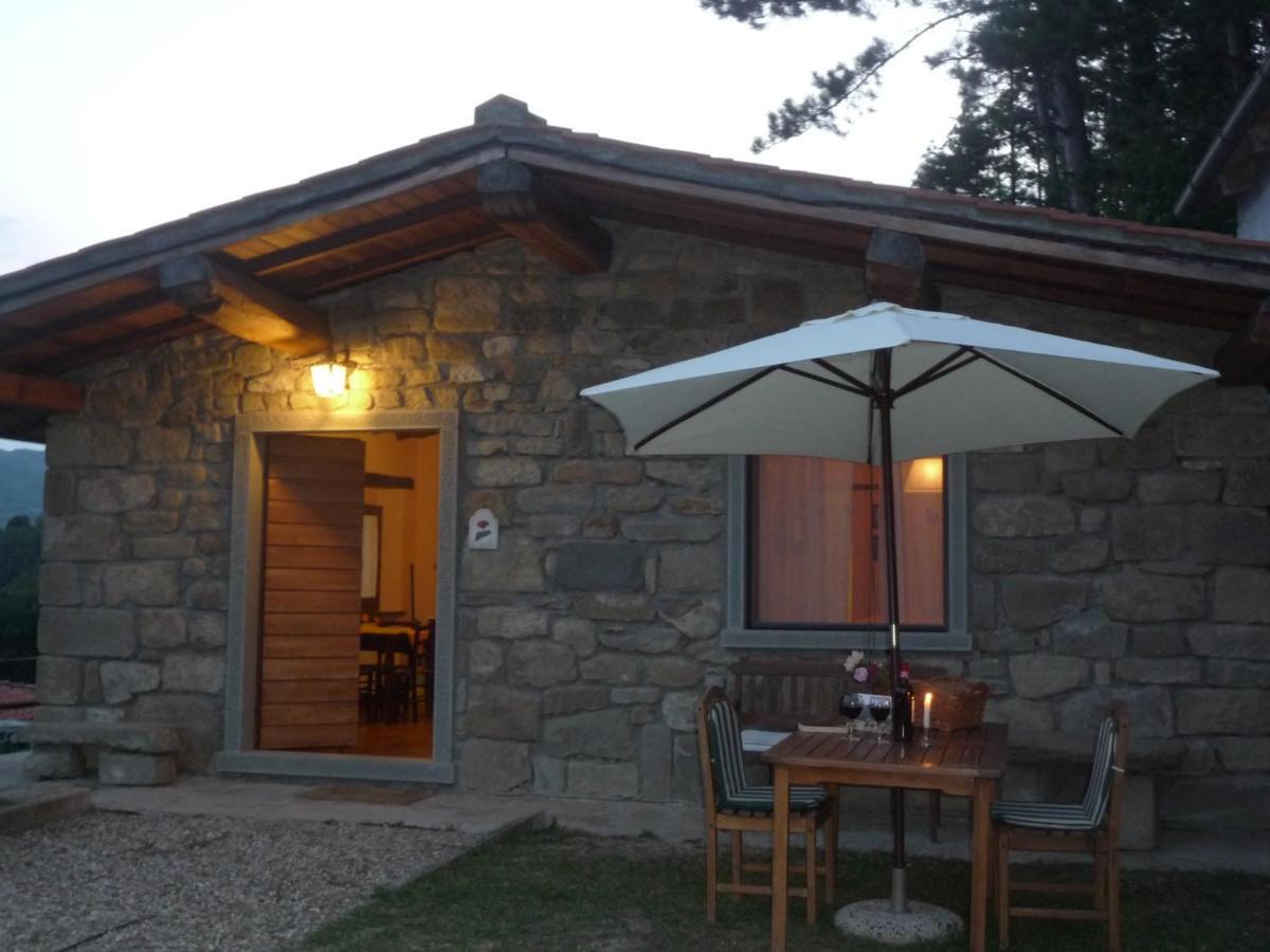 Magnolia Tuscany House With Pool Agriturismo Poppiena Pratovecchio Exteriér fotografie