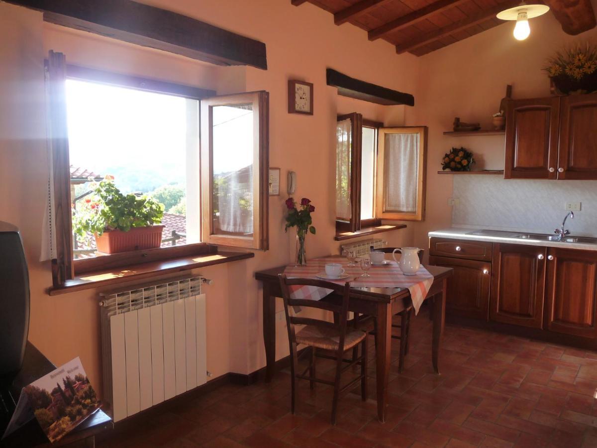 Magnolia Tuscany House With Pool Agriturismo Poppiena Pratovecchio Exteriér fotografie